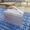 Bateria de gel de 12V 100Ah de alta qualidade - AGM recarregável de ciclo profundo para aplicações solares, energia eólica, backup e mobilidade 